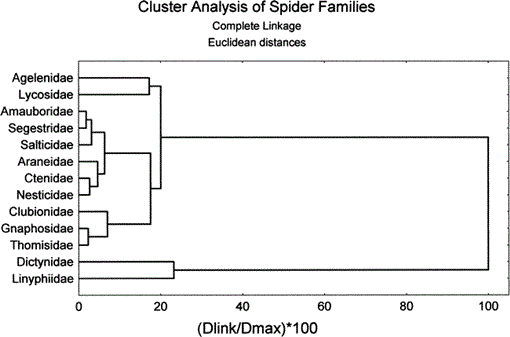 GW Researcher Explains How Seven Spiders Spin Webs of Entrapment