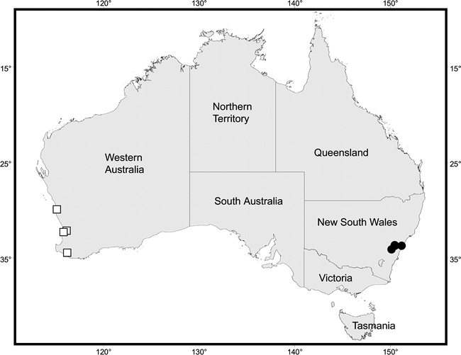 A New Species In The Wolf Spider Genus Allotrochosina From New South ...