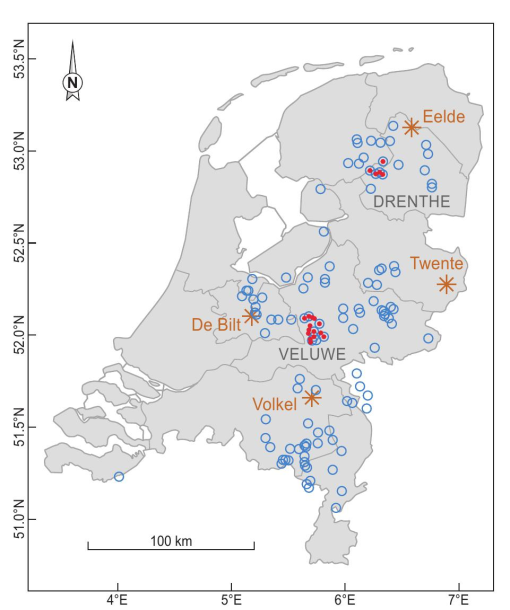 A) The brood sex ratio of yearling female great tits produced in