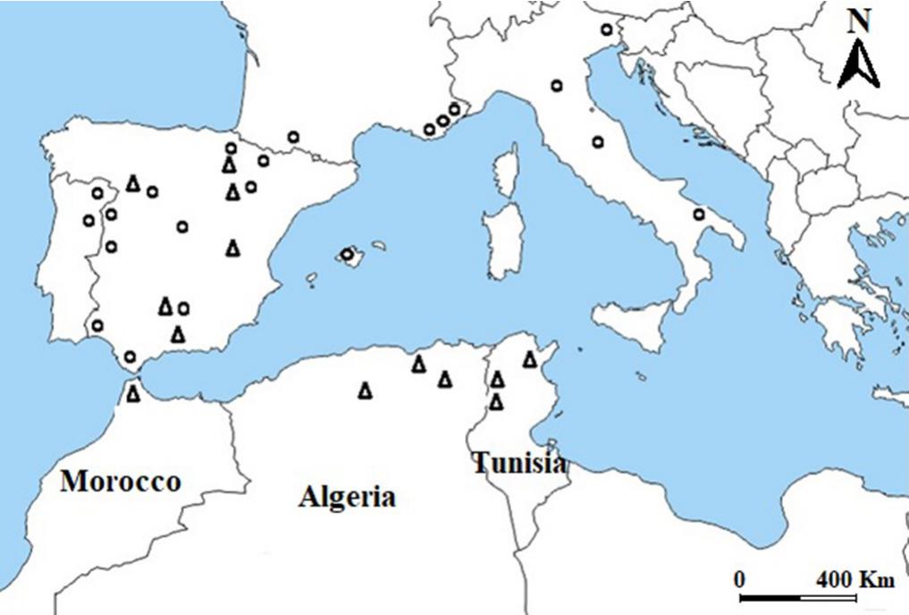 Mapa europa portugal - NAVARRA INFORMACIÓN