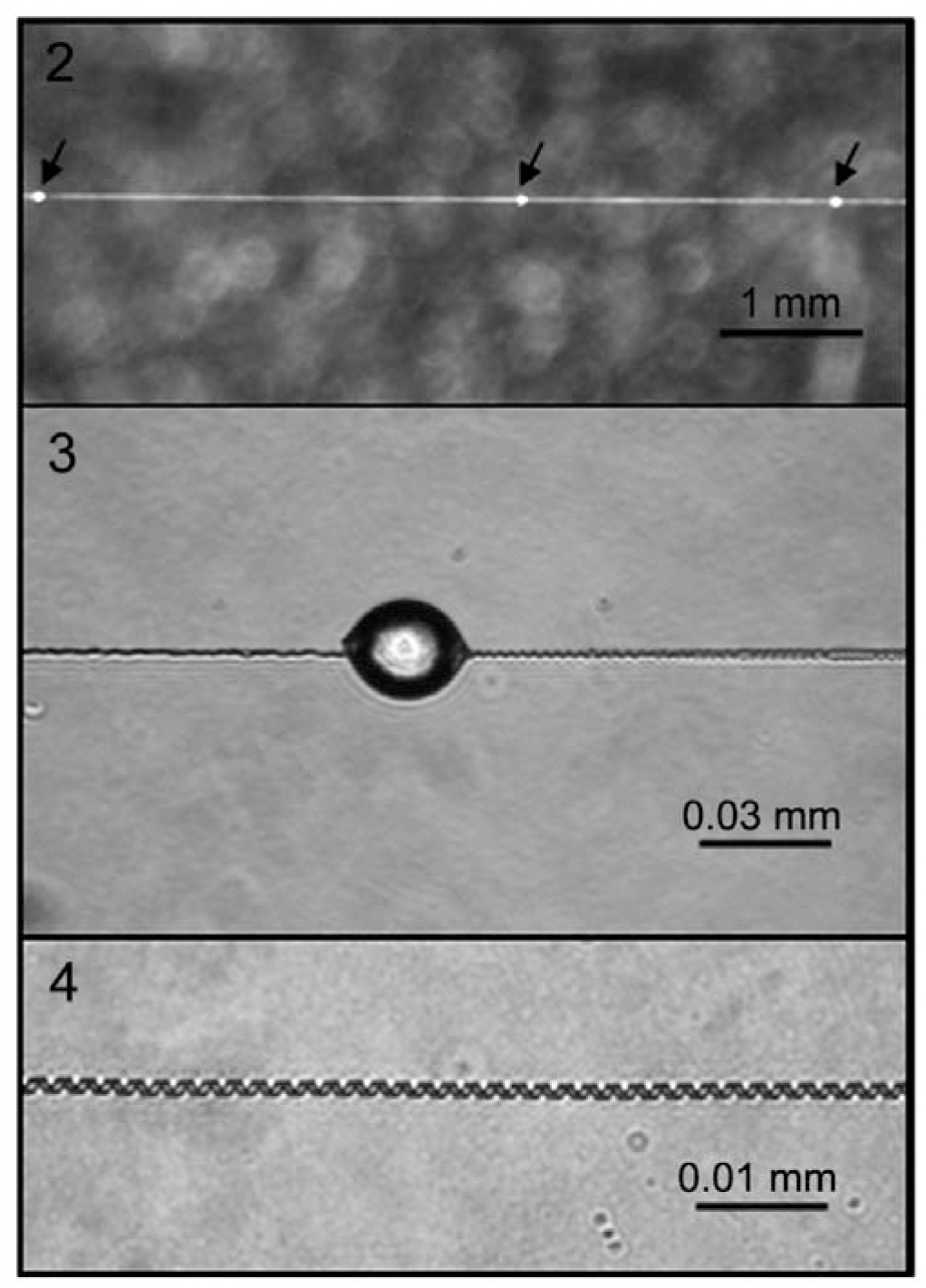 Stickyglobule