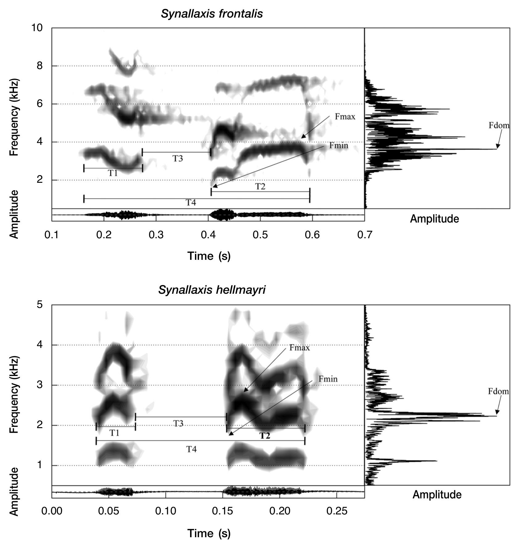 Frontalis Patterns Divergent Spatial Patterns of Acoustic Variation in the Red-Shouldered ...