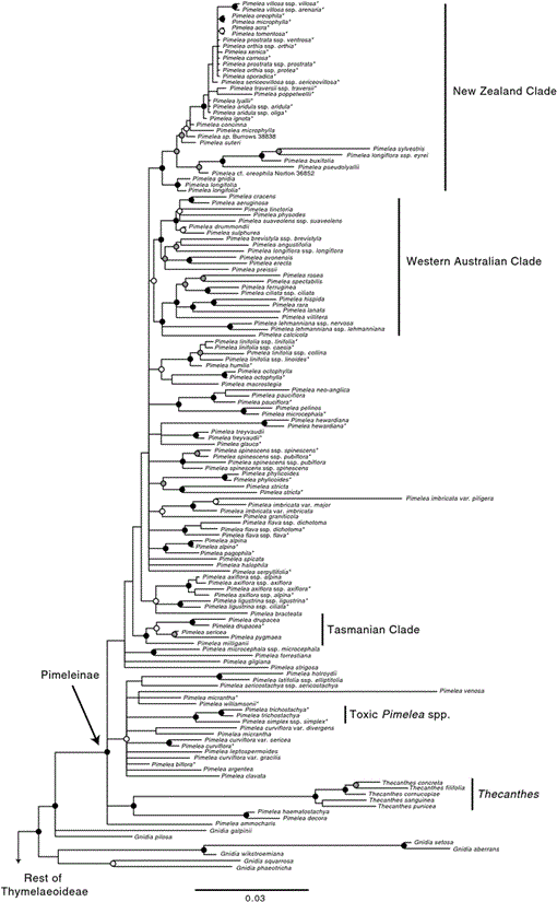 Molecular phylogenetics provides new insights into the systematics of ...