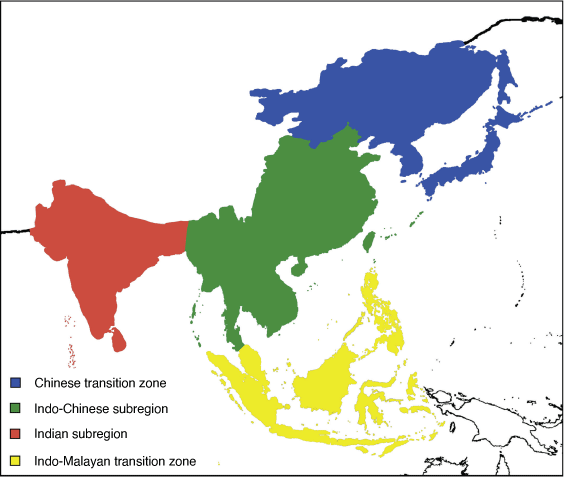 Toward a terrestrial biogeographical regionalisation of the world ...