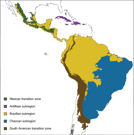 Toward a terrestrial biogeographical regionalisation of the world ...