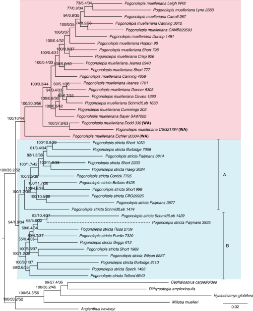 SB22010_F3.gif