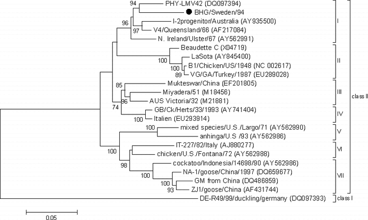 Complete Genome Analysis Of An Avian Paramyxovirus Type 1 Strain ...