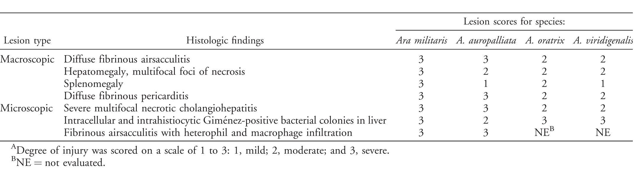 First Identification of Chlamydia psittaci in the Acute Illness and ...