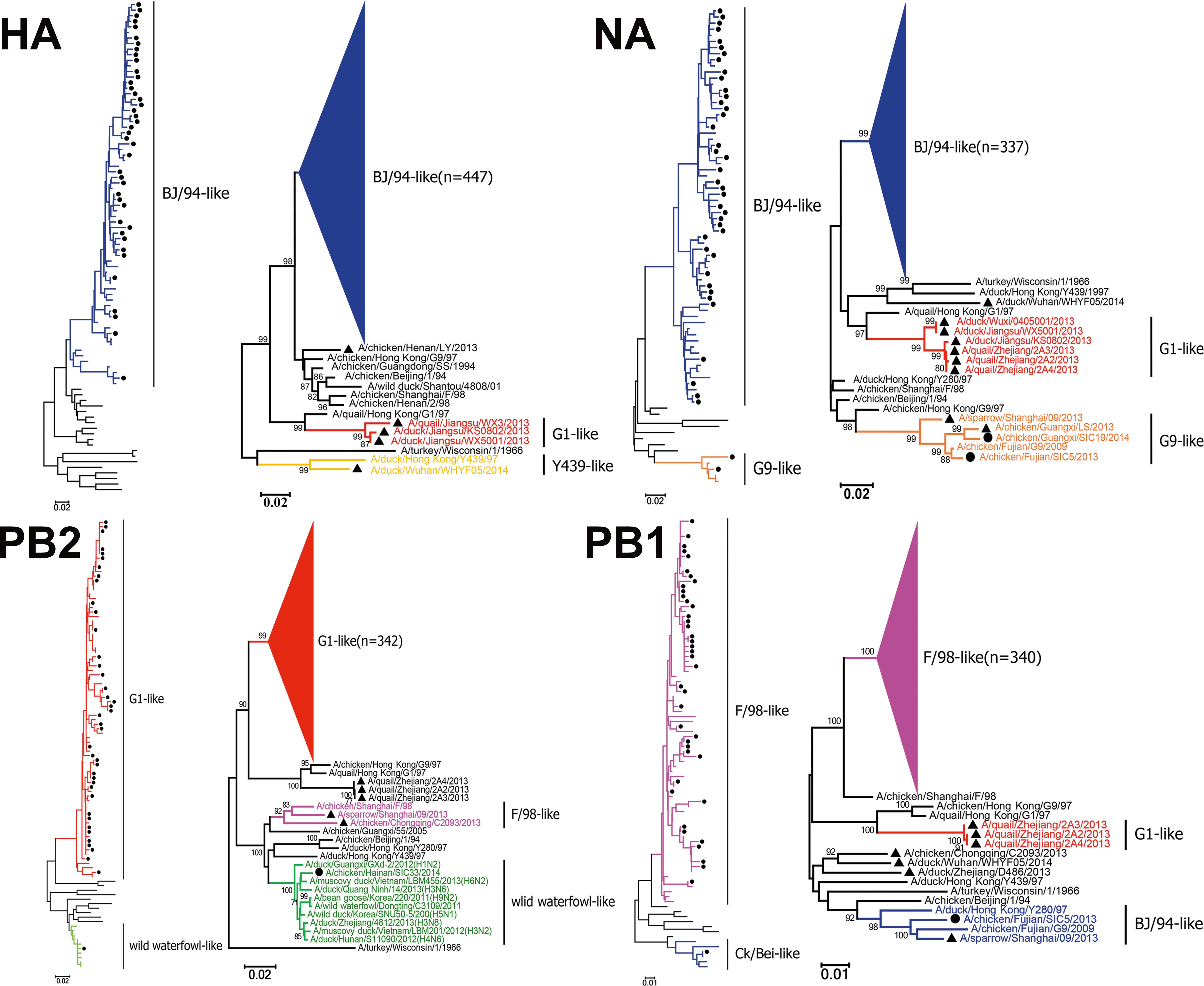 Endemic Variation Of H9n2 Avian Influenza Virus In China - 