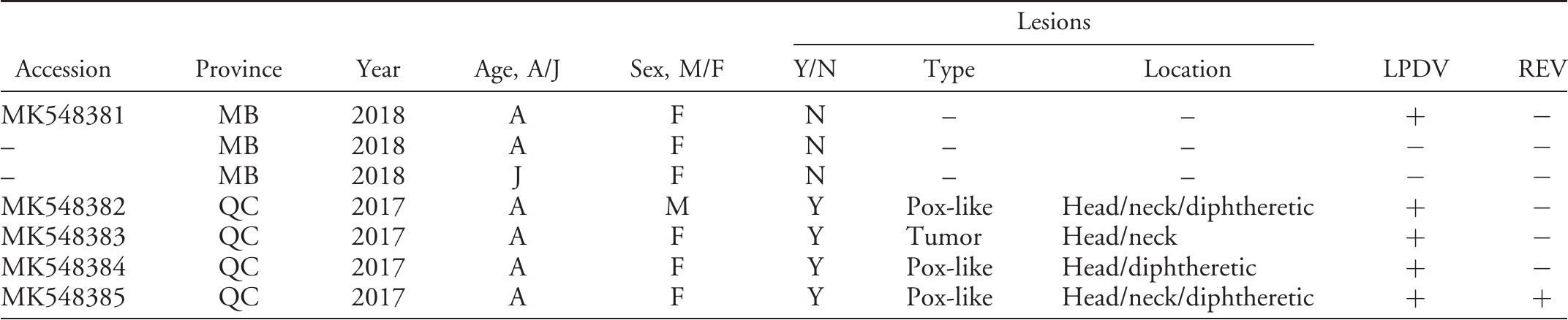 Lymphoproliferative Disease Virus In Wild Turkeys Meleagris