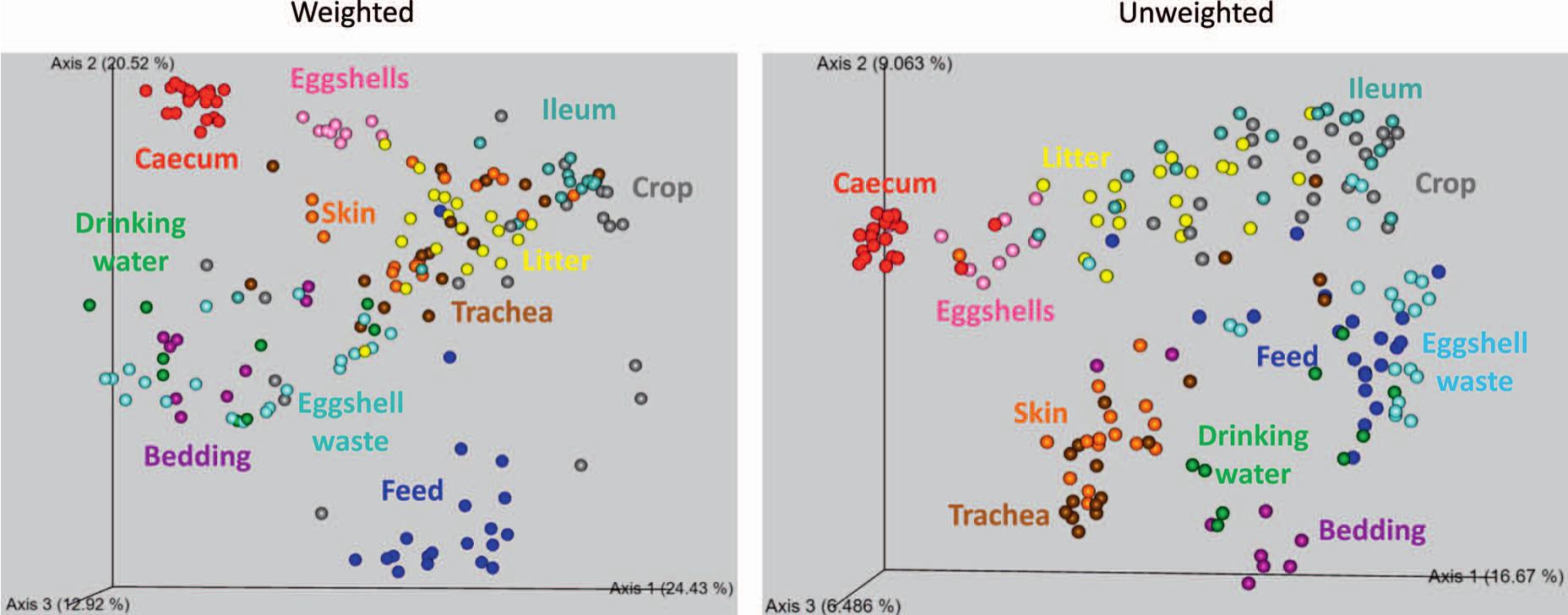 Farm dust resistomes and bacterial microbiomes in European poultry
