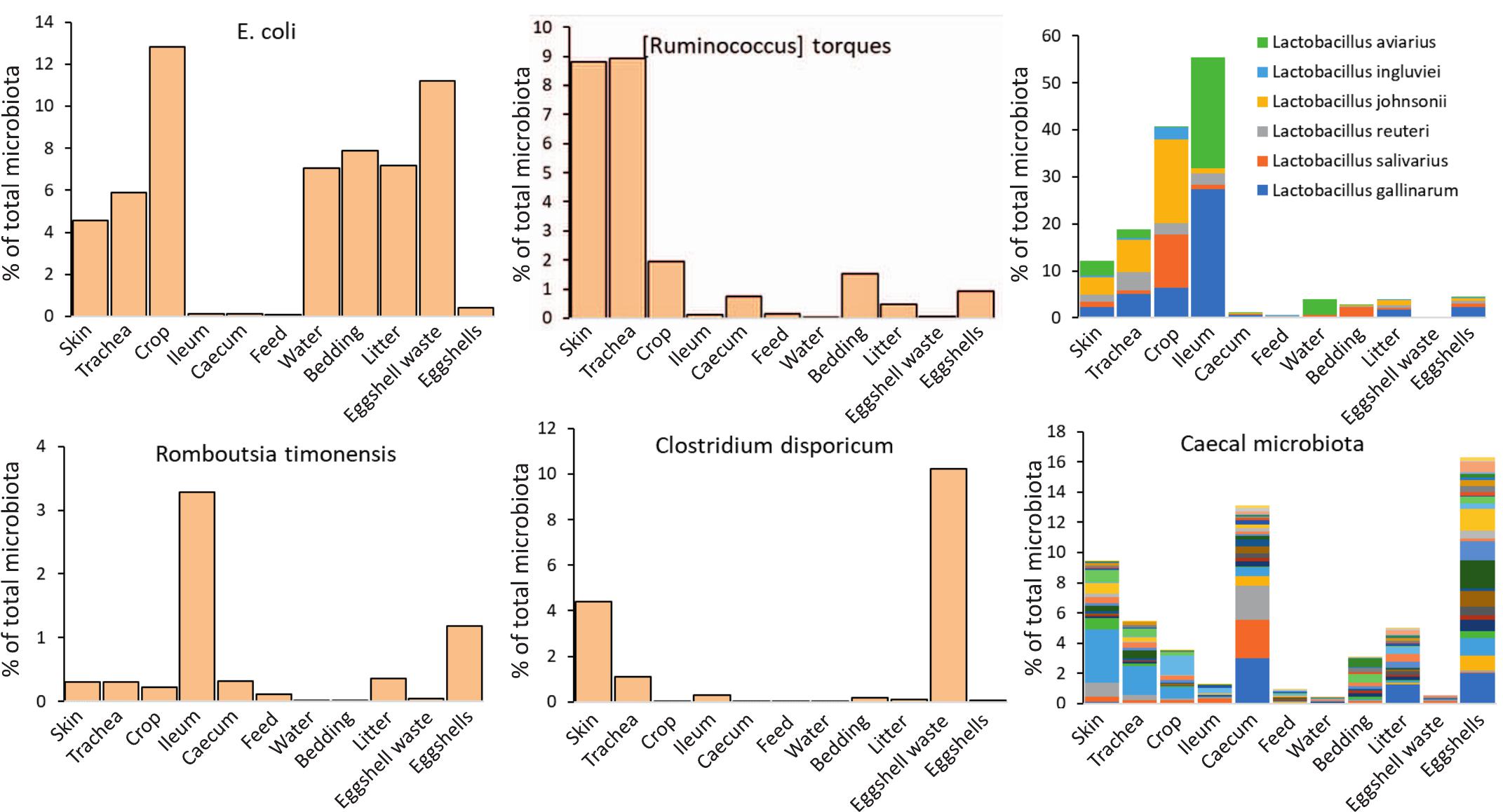 Farm dust resistomes and bacterial microbiomes in European poultry