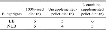 l-carnitine should be taken with How to Take L-Carnitine for Best Results: A Guide
