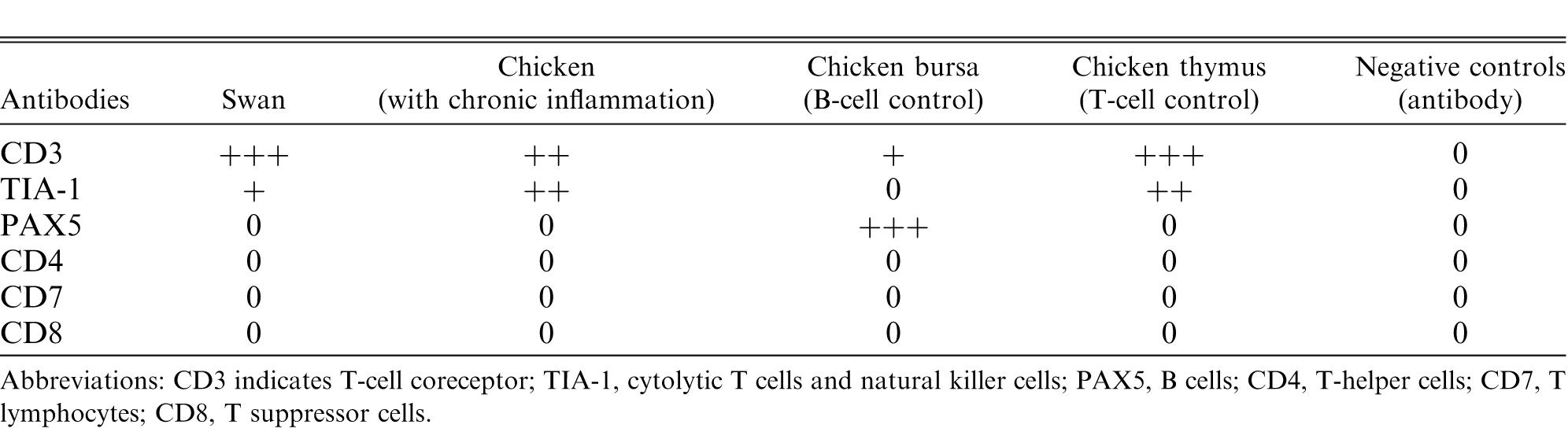 Chronic T-cell Leukemia in a Black Swan (Cygnus atratus): Diagnosis, Treatment, and Pathology