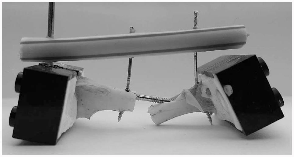 Ex Vivo Biomechanical Comparison Of Titanium Locking Plate Stainless Steel Nonlocking Plate And Tie In External Fixator Applied By A Dorsal Approach On Ostectomized Humeri Of Pigeons Columba Livia