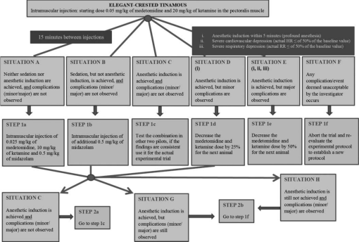 Anesthesia And Anesthetic Related Complications Of 8 Elegant Crested Tinamous Eudromia Elegans Undergoing Experimental Surgery