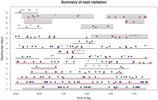 Breeding Biology During The Nestling Period At A Black Crowned