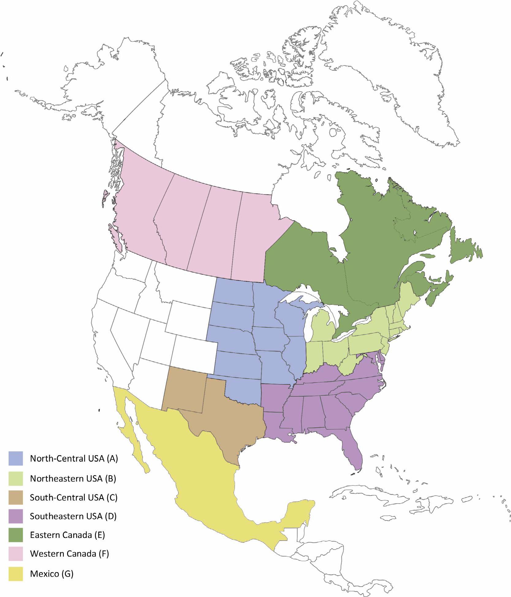 A closer look at the migration and diversification of the false ...