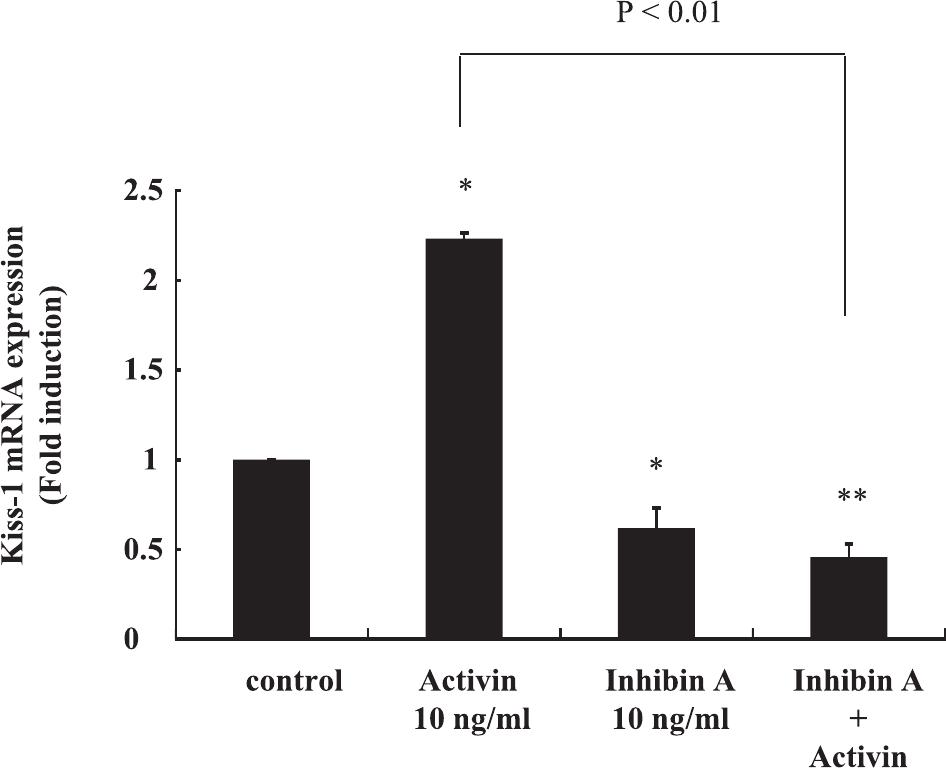 Role Of Activin, Follistatin, And Inhibin In The Regulation Of Kiss-1 ...