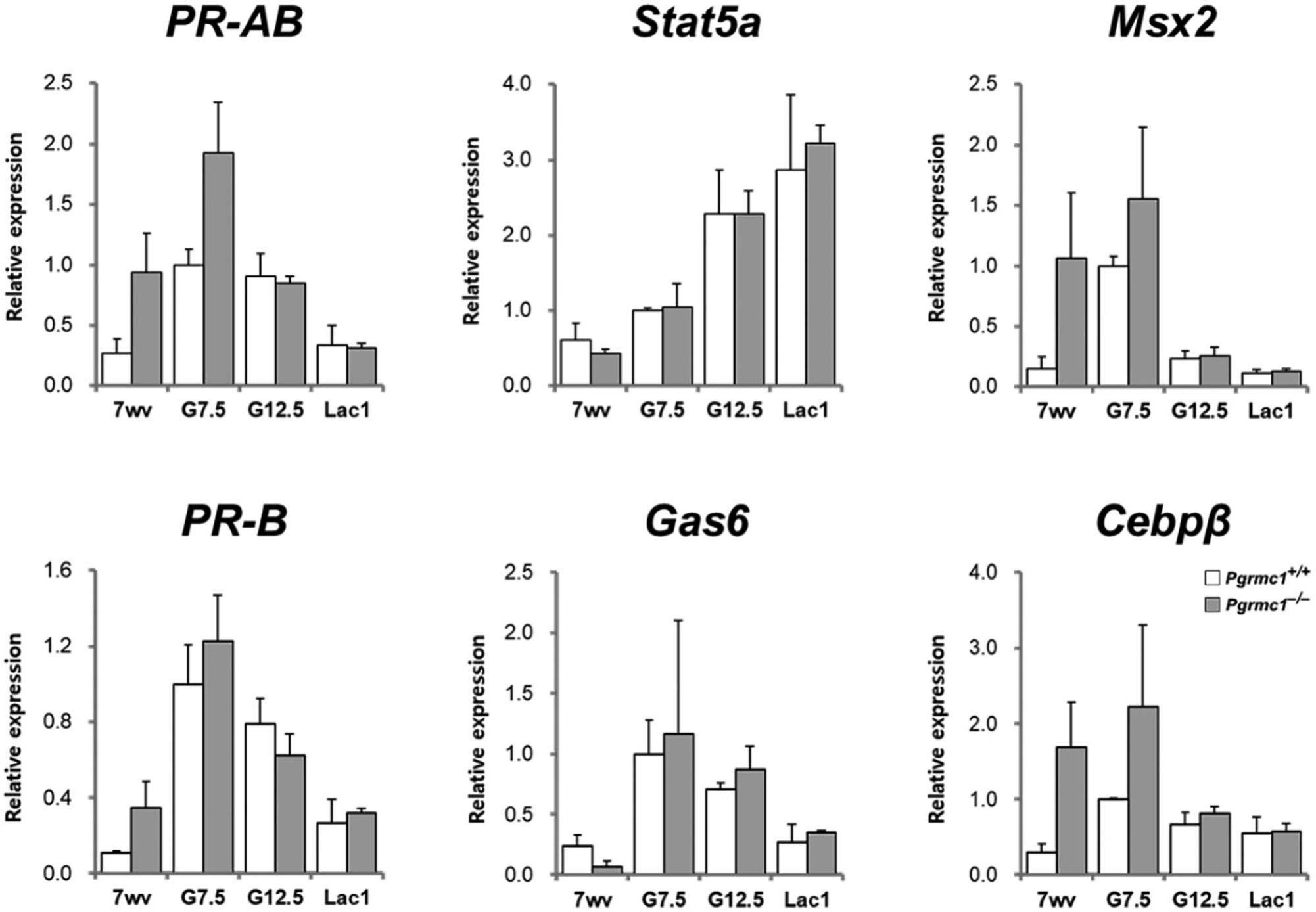 Progesterone Receptor Membrane Component 1 Is Required For Mammary Gland Development