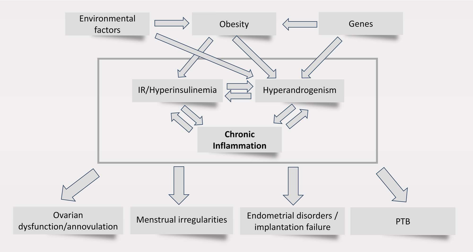 Inflammation and reproductive function in women with polycystic ovary ...