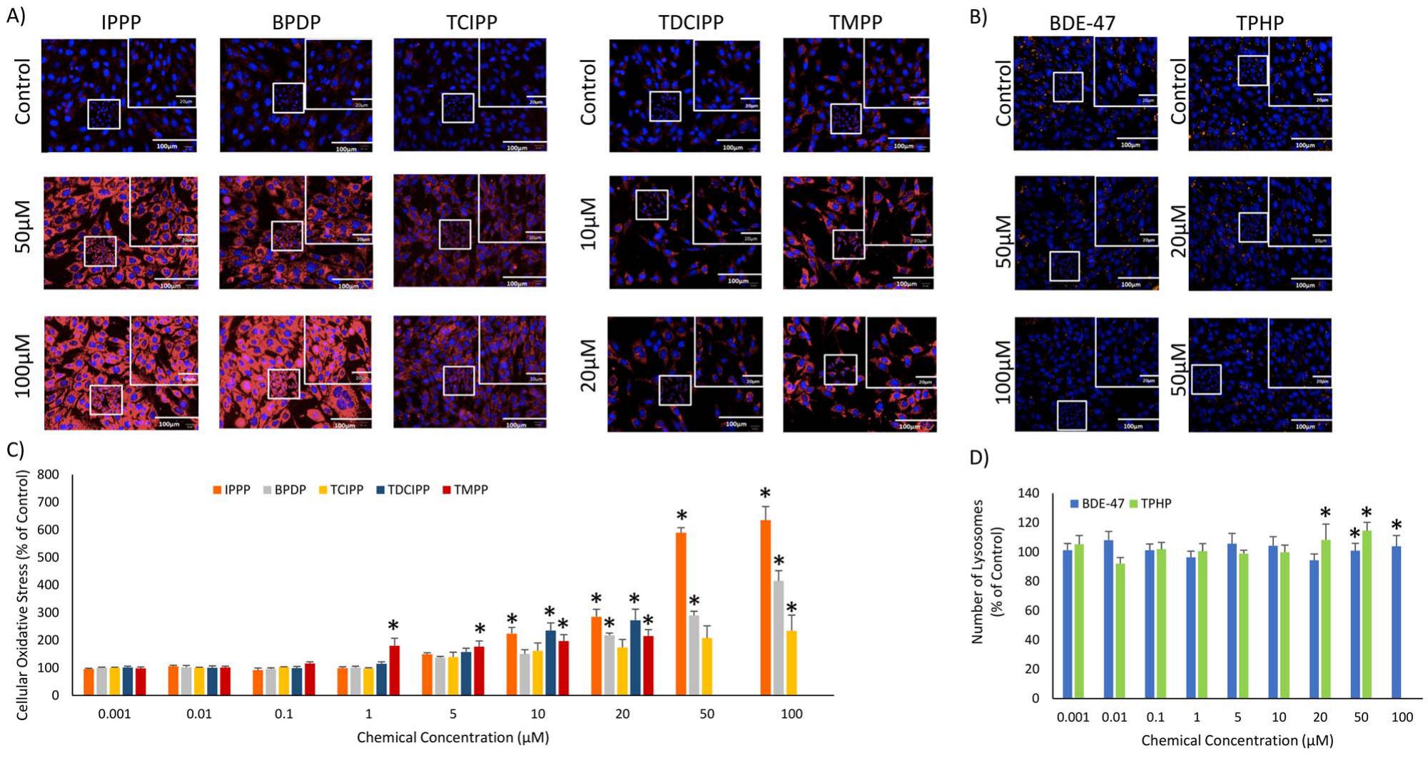 High-content Imaging Analyses Of The Effects Of Bisphenols And ...