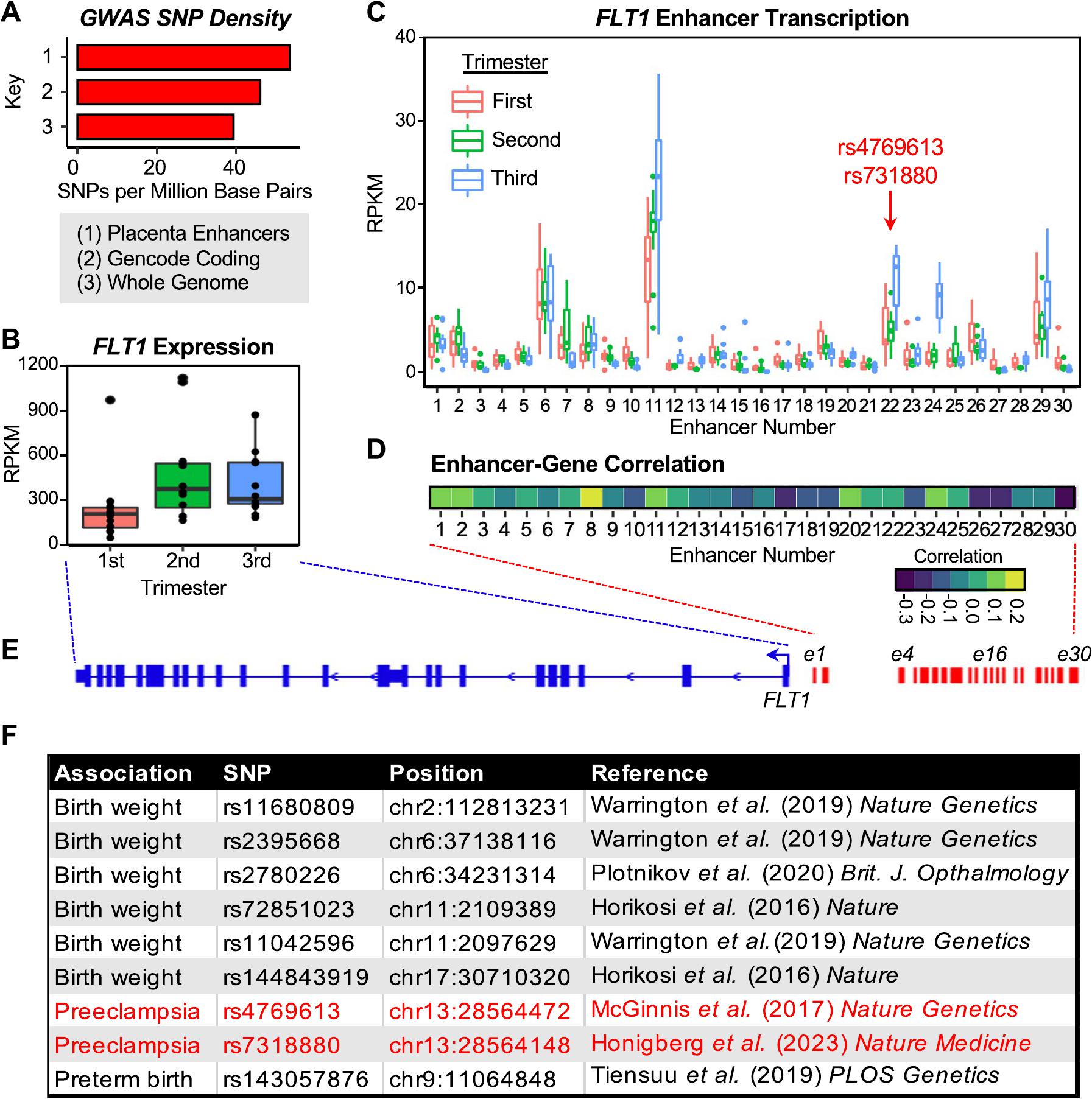 Genome-wide identification of transcriptional enhancers during