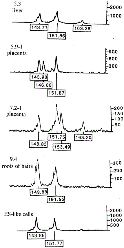 Production of Live Calves Derived from Embryonic Stem-Like Cells ...