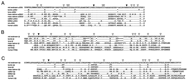 Unique Expression Of Gonadotropin I And Ii Subunit Genes In Male And Female Red Seabream Pagrus Major During Sexual Maturation1