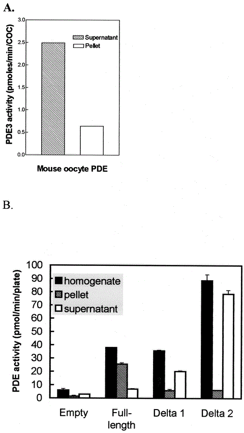 Cloning and Characterization of the Cyclic Guanosine Monophosphate 