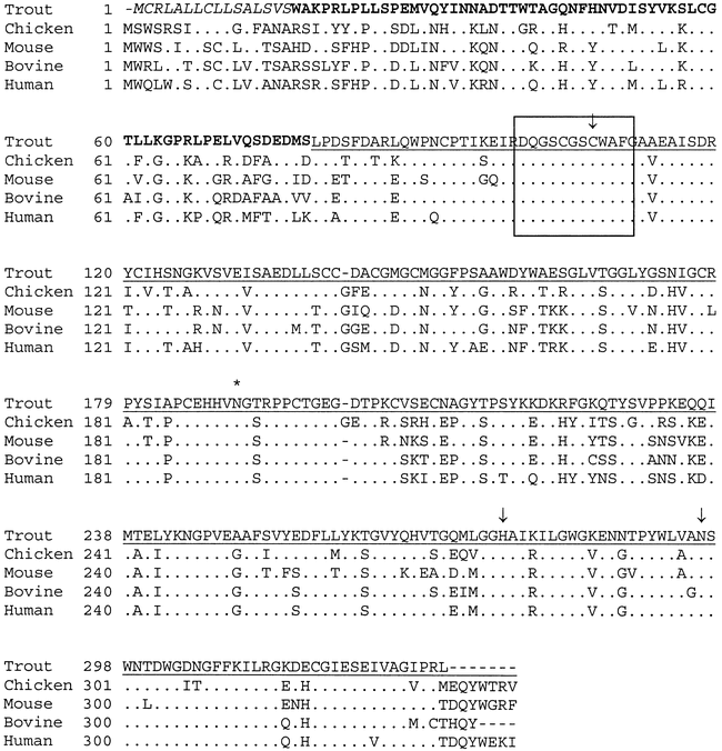 Molecular Characterization Of Putative Yolk Processing Enzymes And Their Expression During Oogenesis And Embryogenesis In Rainbow Trout Oncorhynchus Mykiss 1