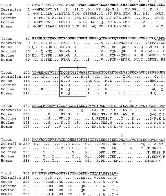 Molecular Characterization Of Putative Yolk Processing Enzymes And Their Expression During Oogenesis And Embryogenesis In Rainbow Trout Oncorhynchus Mykiss 1