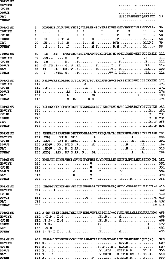 Molecular Cloning Of Porcine Estrogen Receptor B Complementary Dnas And Developmental Expression In Periimplantation Embryos1