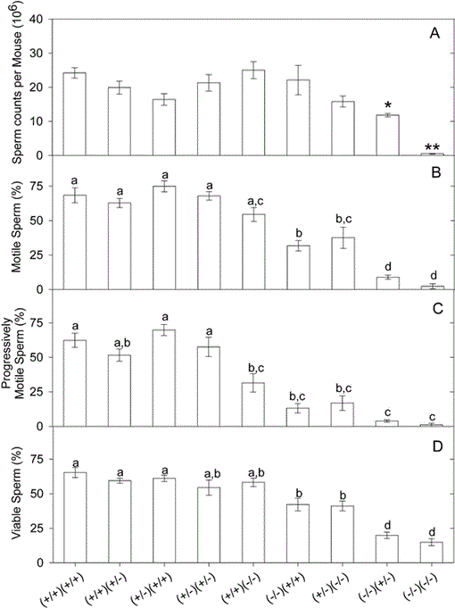 Abnormalities and Reduced Reproductive Potential of Sperm from Tnp1- and  Tnp2-Null Double Mutant Mice1