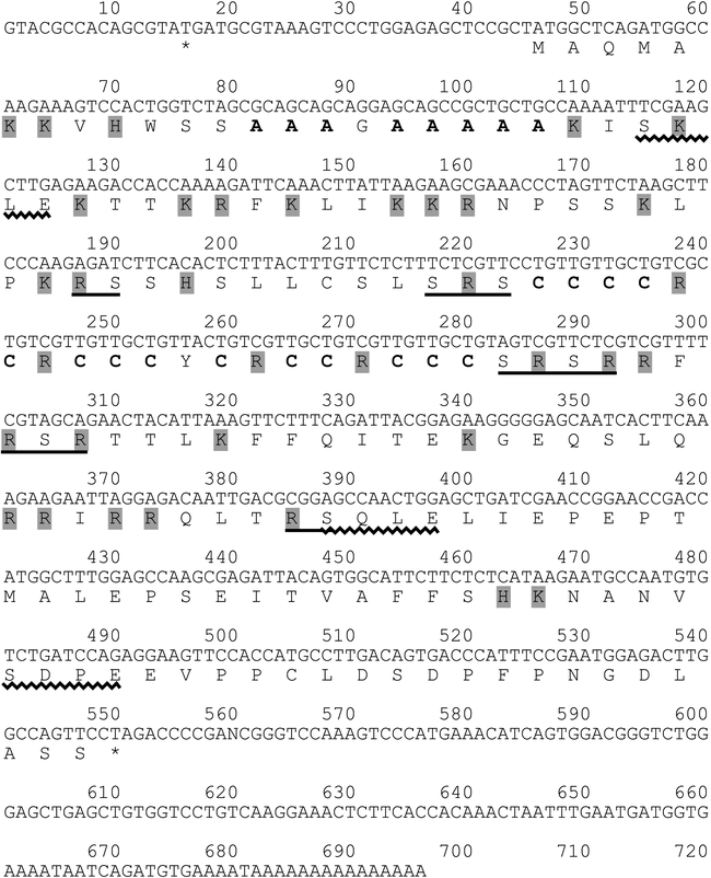 Characterization Of A Novel Postacrosomal Perinuclear Theca Specific Protein Cypt1