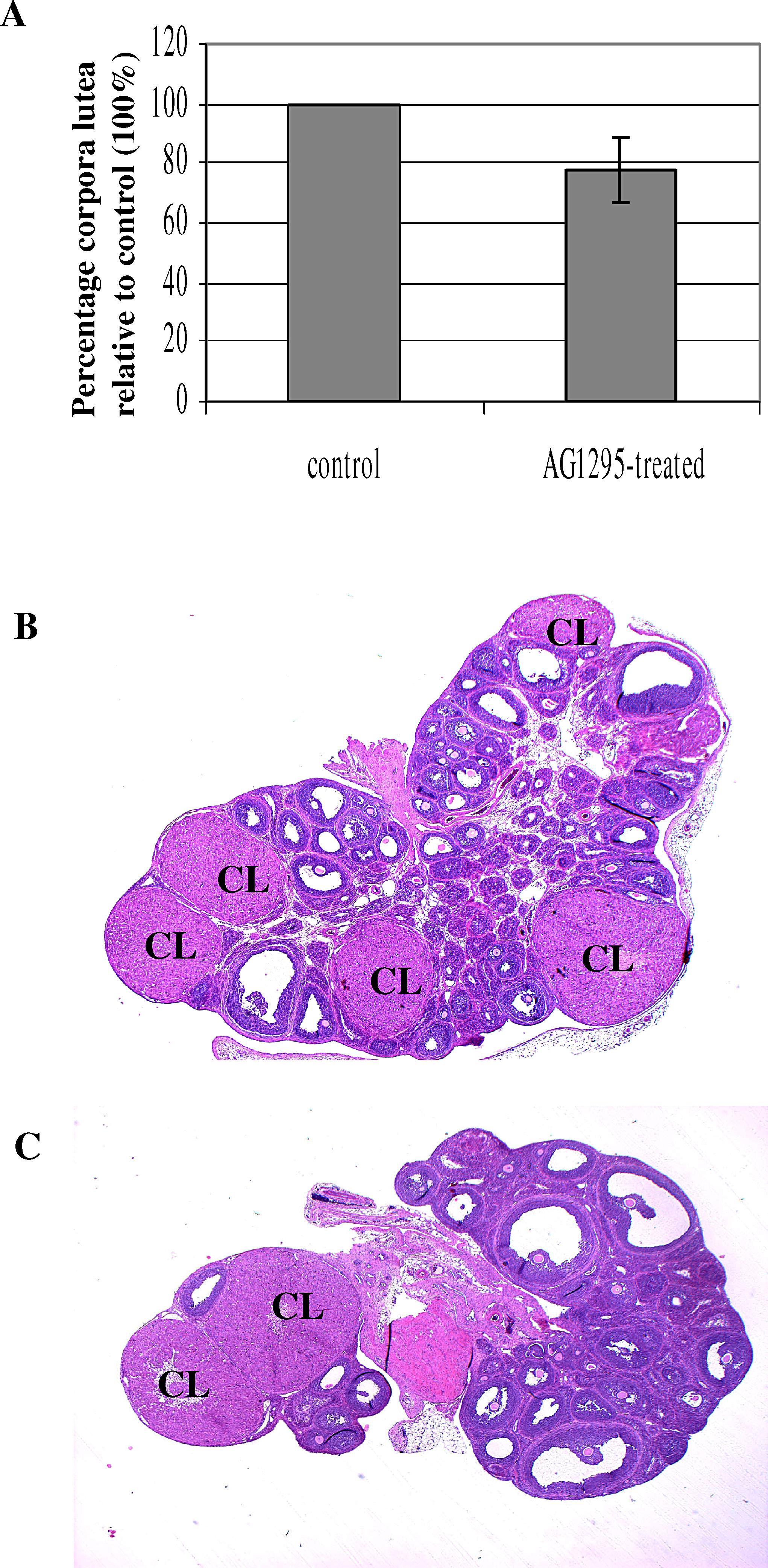 Platelet Derived Growth Factors And Receptors In The Rat Corpus Luteum Localization And Identification Of An Effect On Luteogenesis1