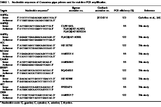 Sex Specific Regulation Of Amp Activated Protein Kinase Ampk In The Pacific Oyster Crassostrea Gigas1