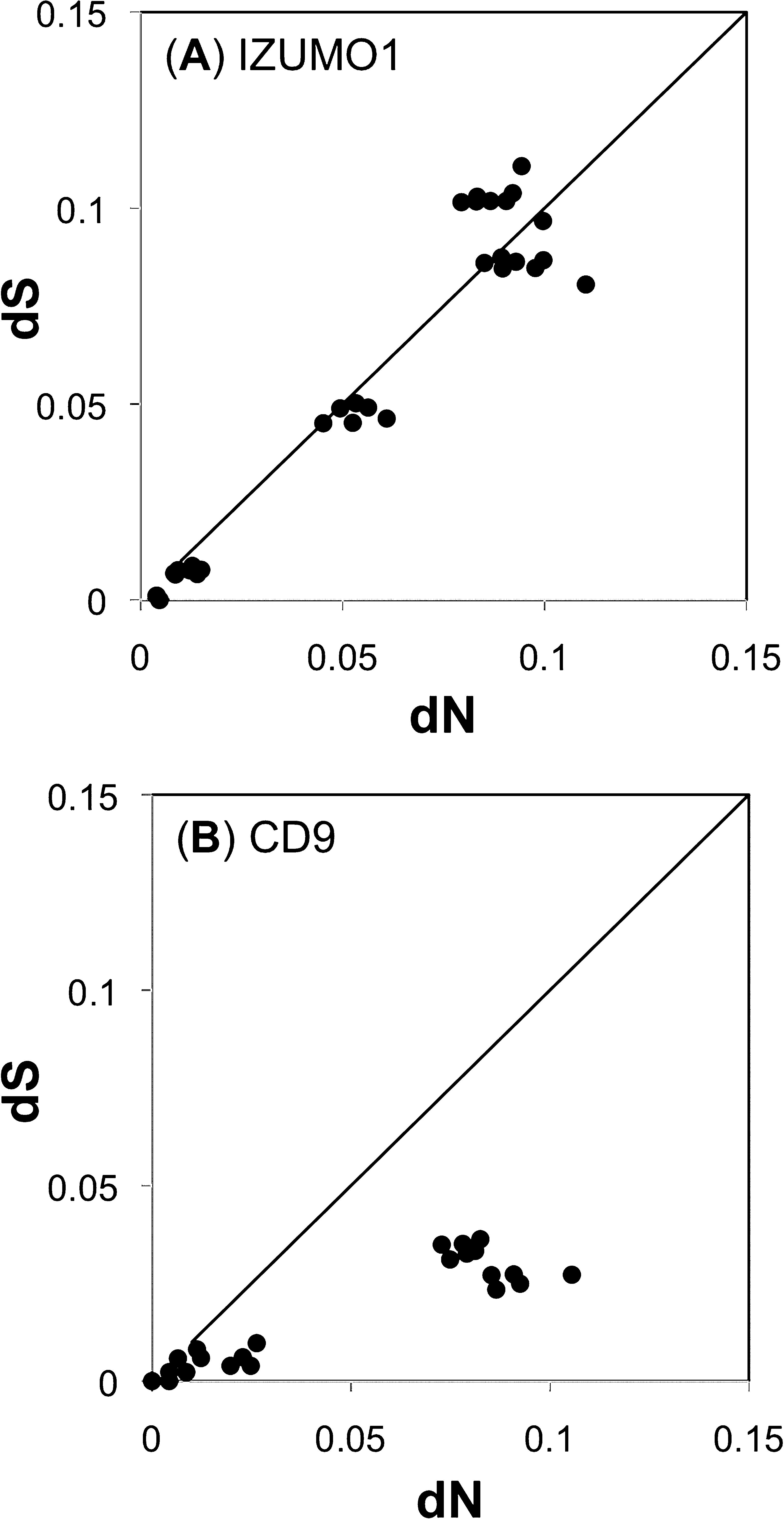 Coevolution Of Positively Selected Izumo1 And Cd9 In Rodents Evidence Of Interaction Between Gamete Fusion Proteins 1