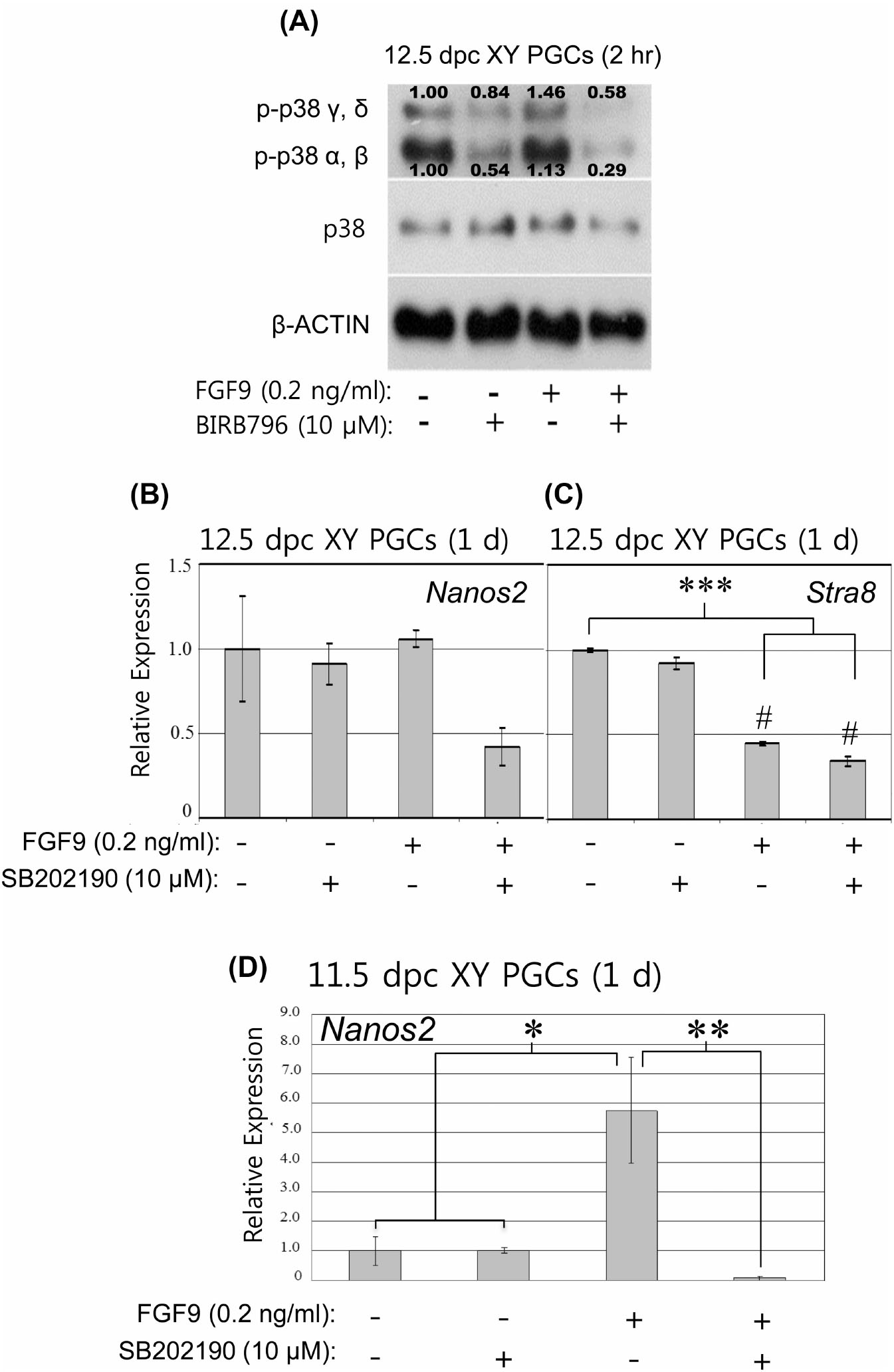 Dose Dependent Functions Of Fibroblast Growth Factor 9 Regulate The Fate Of Murine Xy Primordial Germ Cells