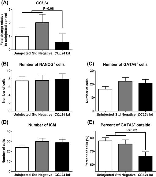 Role of chemokine (C-C motif) ligand 24 in spatial arrangement of the ...