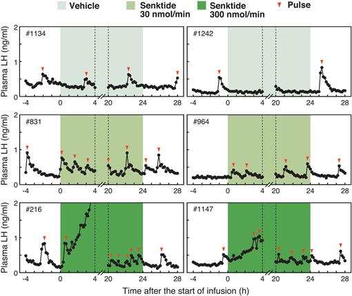 A neurokinin 3 receptor-selective agonist accelerates pulsatile ...