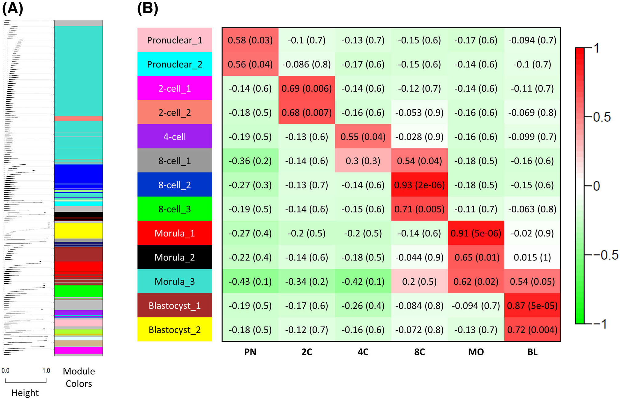 Transcriptome Profiling Of Individual Rhesus Macaque Oocytes - 