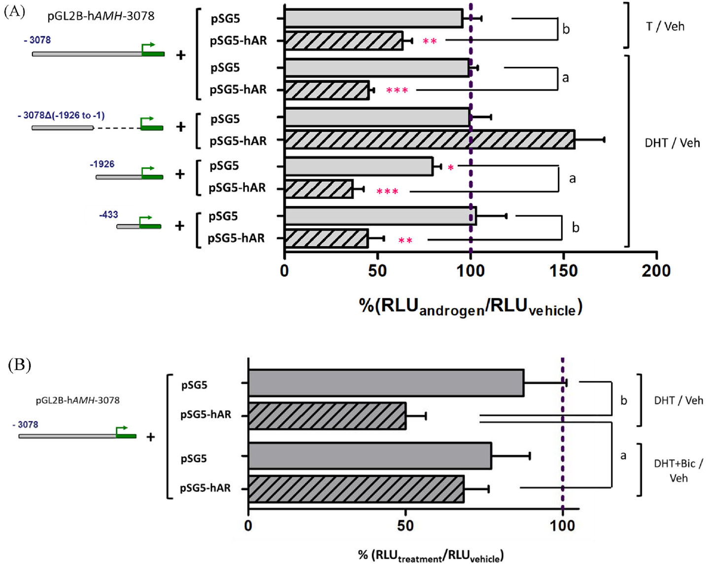 Androgens Downregulate Anti Mullerian Hormone Promoter Activity In The Sertoli Cell Through The Androgen Receptor And Intact Steroidogenic Factor 1 Sites