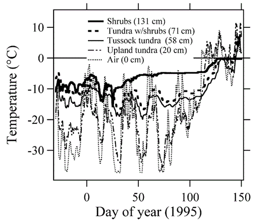 Mosses Play Key Roles in Ecosystems from Tropics to Tundra - Eos