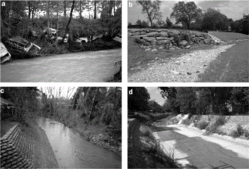 Bank Erosion as a Desirable Attribute of Rivers