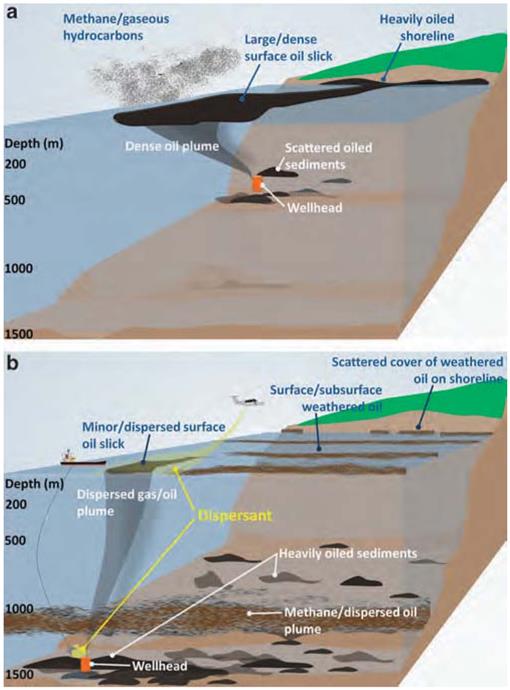 A Tale of Two Spills: Novel Science and Policy Implications of an ...