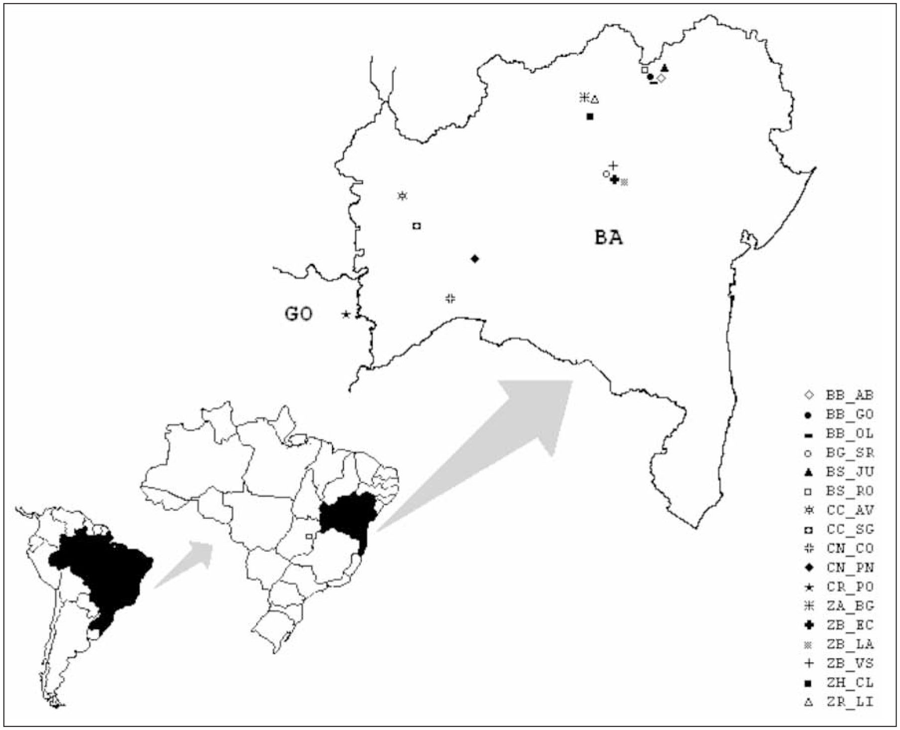 Taxonomy And Conservation Of The Discocactus Pfeiff Cactaceae Species Occurring In The State Of Bahia Brazil