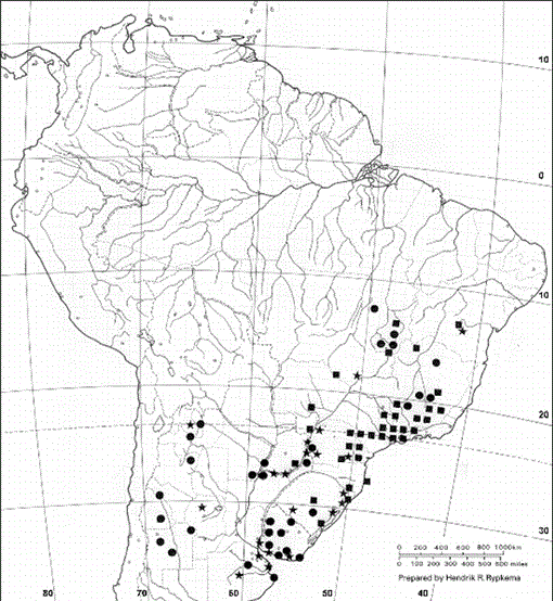 A Revision Of Habenaria Section Macroceratitae Orchidaceae In Brazil