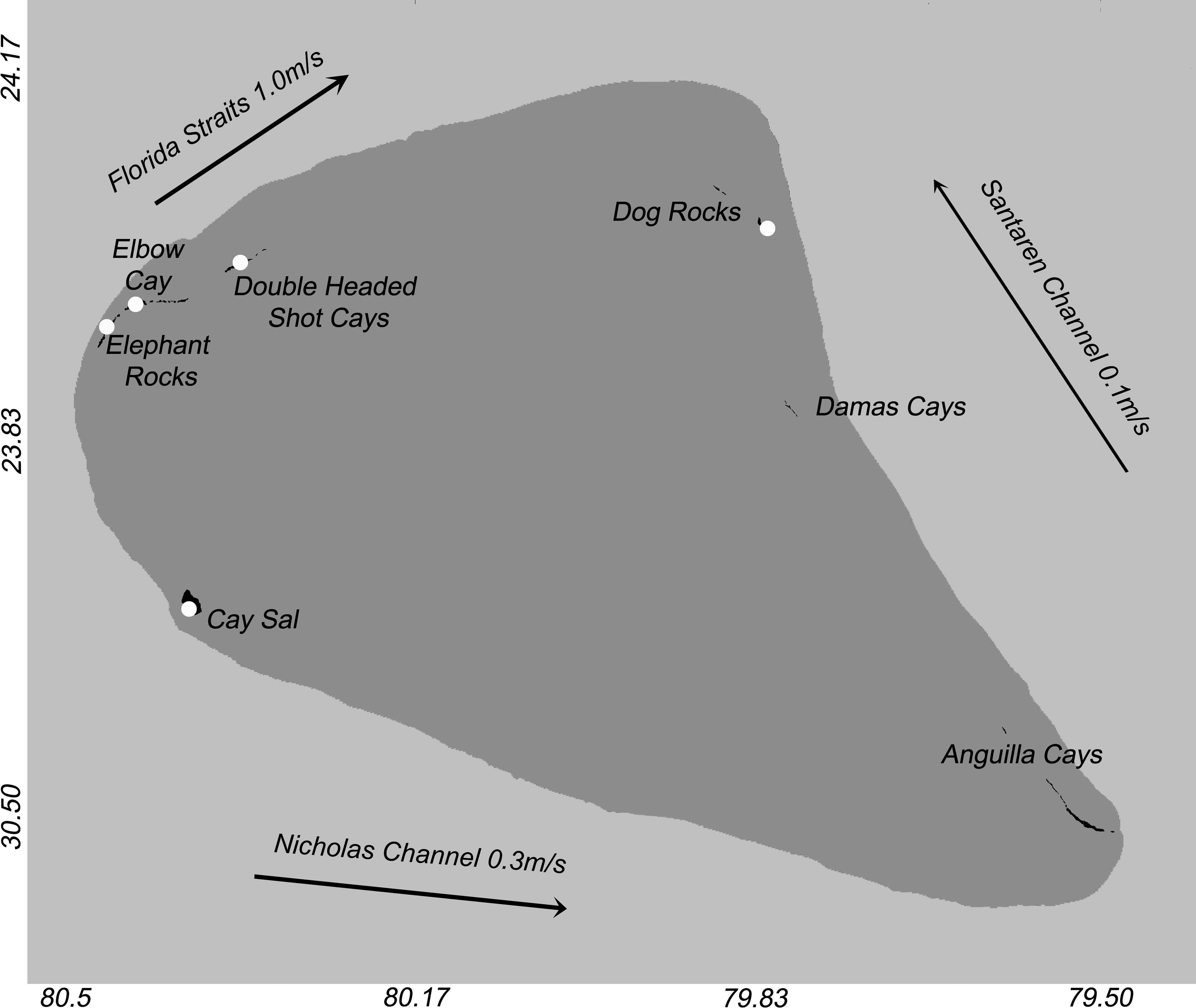 Herpetofauna Of Cay Sal Bank Bahamas And Phylogenetic Relationships Of Anolis Fairchildi Anolis Sagrei And Tropidophis Curtus From The Region