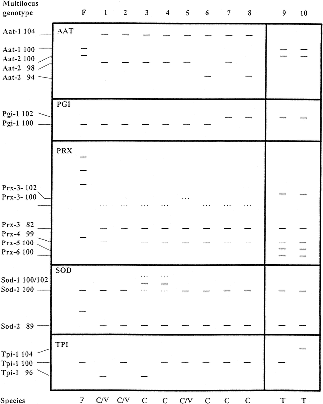 Population Structure And Taxonomy Of Sphagnum Cuspidatum And - 